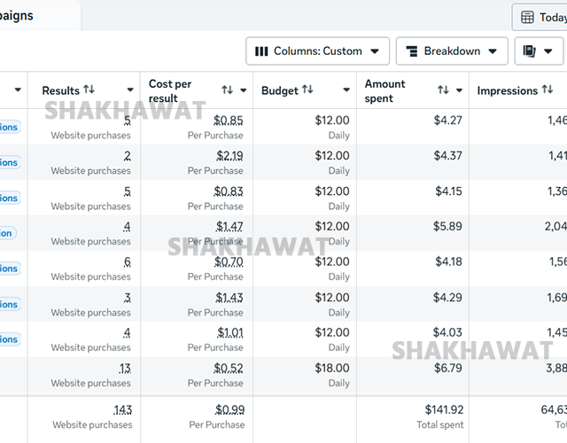 E-commerce Facebook Ads campaign with 13.2x ROAS